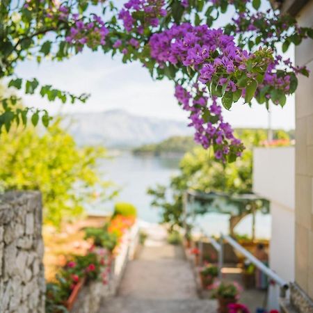 Apartments By The Sea Lumbarda, Korcula - 4446 Exteriér fotografie