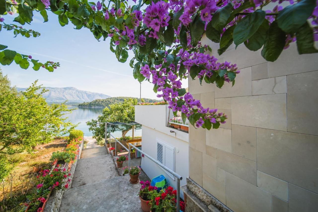 Apartments By The Sea Lumbarda, Korcula - 4446 Exteriér fotografie